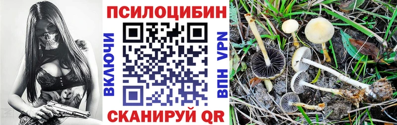 Галлюциногенные грибы Cubensis  Югорск 